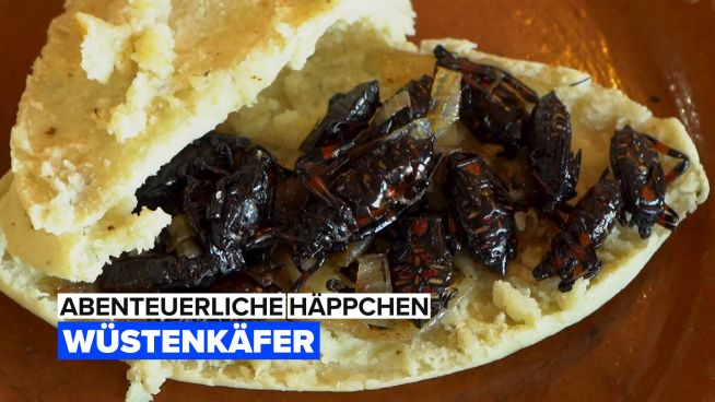 Abenteuerliche Häppchen: Xamues Wüstenkäfer