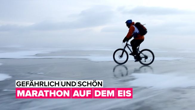 Aufregender Wintersport: ein Marathon auf dem Eis