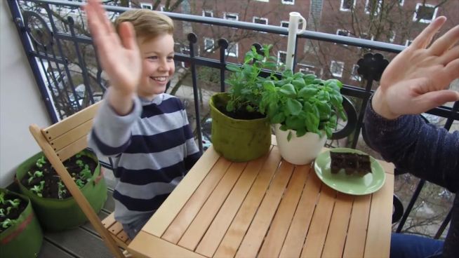 Paradies auf dem Balkon: Tipps für den eigenen 'Garten'